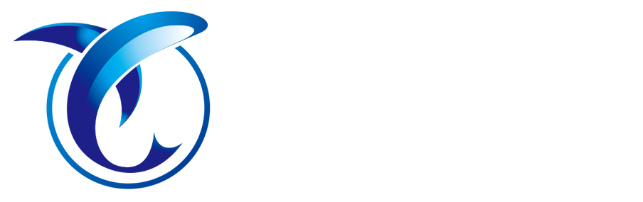 先創(chuàng)網(wǎng)絡(luò)